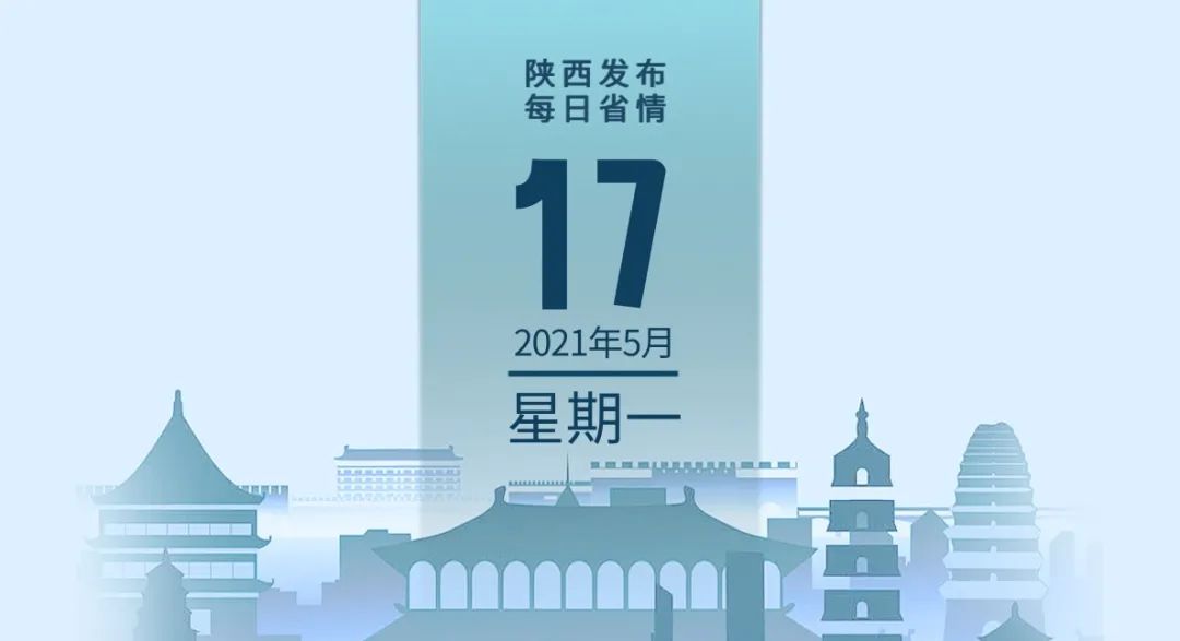  裁判判罚引争议，赛后复盘聚焦热点